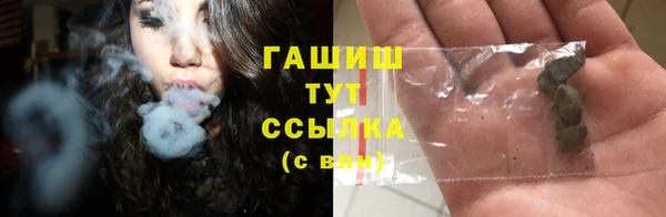 гашик Алексеевка