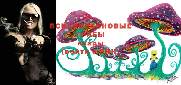 гашик Алексеевка