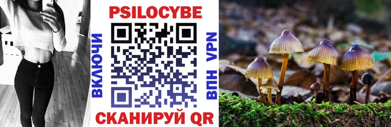 Псилоцибиновые грибы Cubensis  Константиновск 